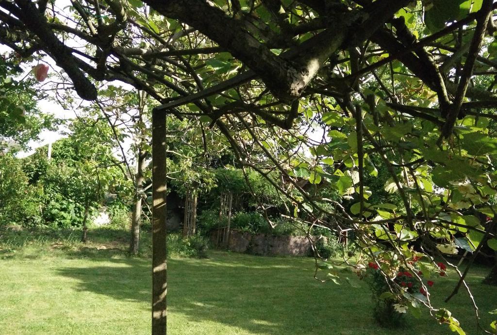 Fenouillet  Gentil'Home - Toulouse B&B Prestige מראה חיצוני תמונה