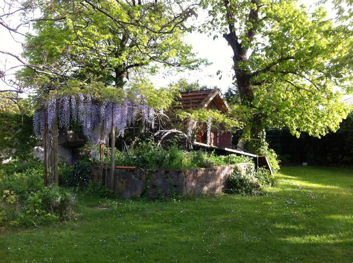 Fenouillet  Gentil'Home - Toulouse B&B Prestige מראה חיצוני תמונה